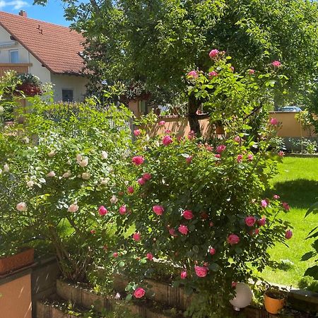 Ferienwohnung Am Eck Руст Экстерьер фото